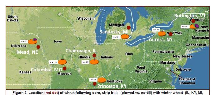 Effects of Local Corn Debris Management on FHB and DON Levels in Seventeen U.S. Wheat Environments in 2011 to 2013 Project Investigators Gary C.