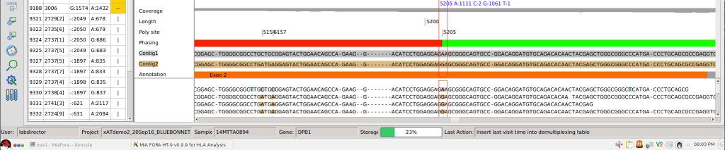 and xreads) Contig alignment browser indicates phased blocks Summary Broad coverage (exons & introns) and deep sequencing (> 50)