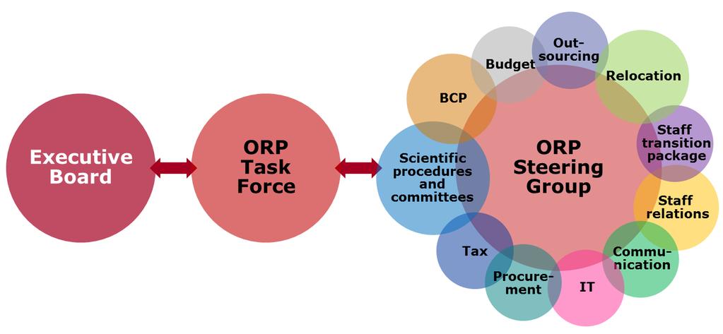 ORP structure and decision-making