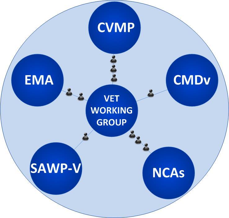 Composition of the working groups (2/2) Veterinary Medicines 3 members from NCAs (HoA) CVMP Chair + 2 CVMP