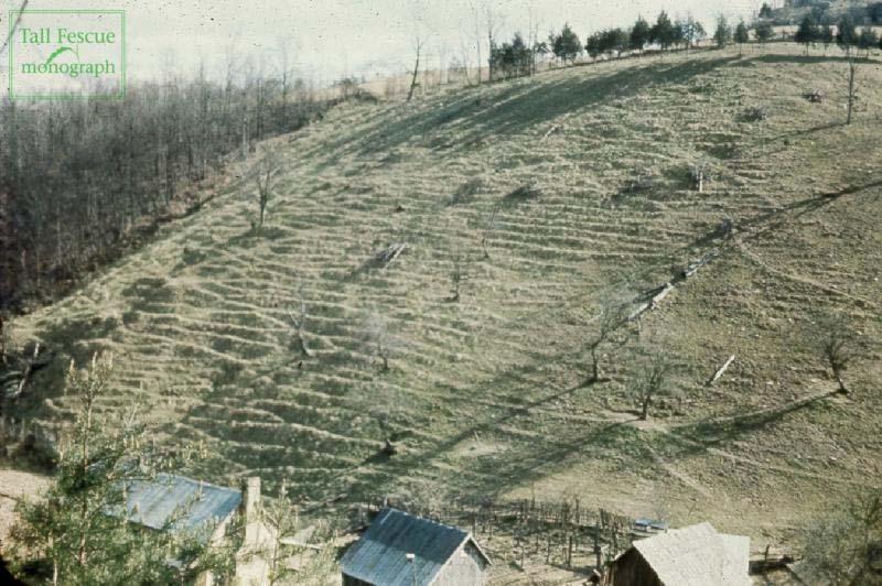 Hillside pasture on William Suiter Farm, Menifee County, KY,