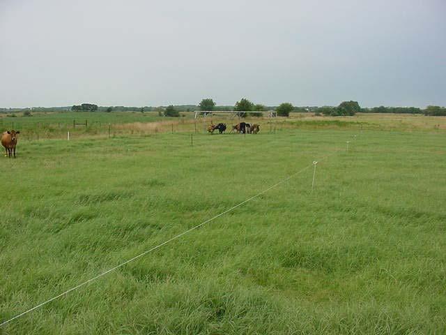grazing strategy and rest periods Quality & quantity increases Enhanced forage utilization