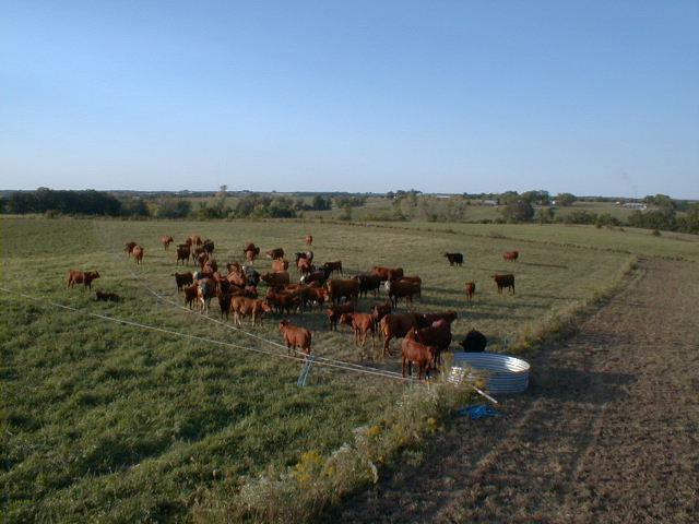 Components of the Grazing System