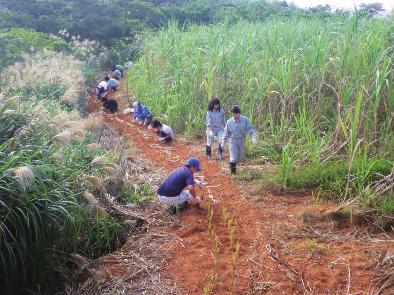Establishment of Community Based Management CBM) in the Nansei Shoto Ecoregion and Reinforcement of Eco-Friendly Village at Shiraho Community 2011~2016) WWF Japan WWF Japan Environmental study