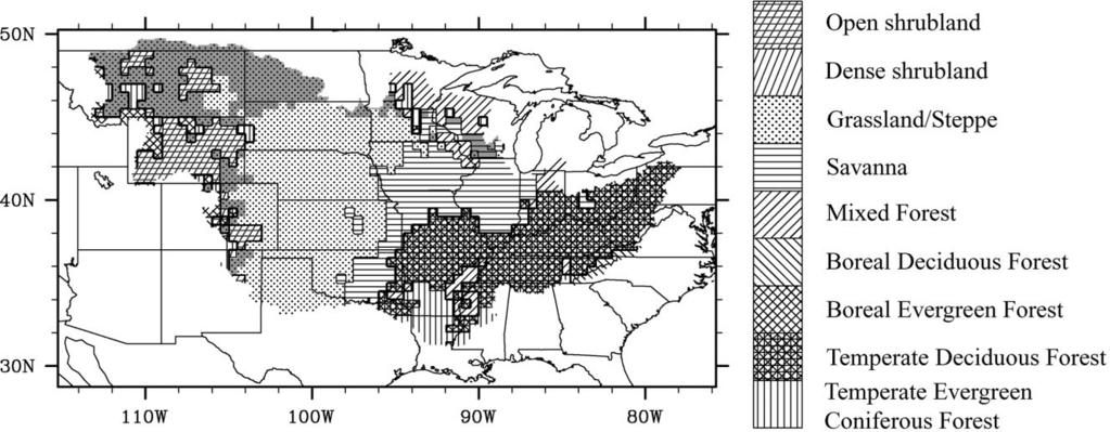 648 JOURNAL OF HYDROMETEOROLOGY VOLUME 5 FIG. 5. Potential vegetation cover of the Mississippi River basin. The gray areas represent grasslands and savannas that are dominated by C3 grasses.