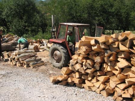 sustainable use of bioenergy in Serbia Funded by: German