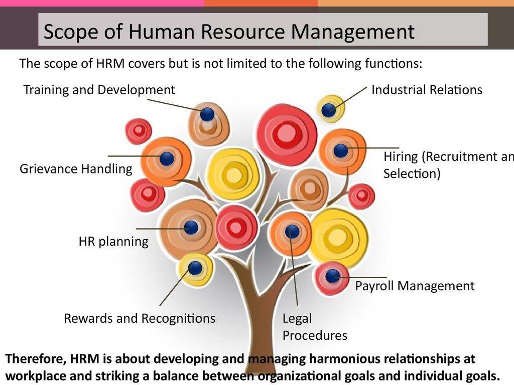 4. Scope of HRM The scope of HRM is indeed vast. All major activities in the working life of a worker -from the time of his or her entry until he or she leaves- come under the purview of HRM.