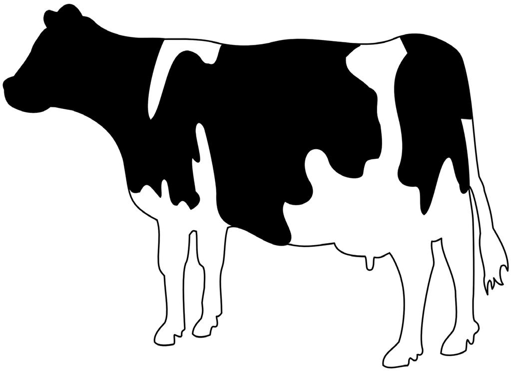 Dairy Herd Synchronization Programs
