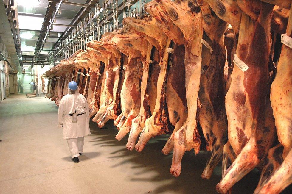 From Beginning to End 1 day to process the live animal 24 hours (cows/bulls) or 48 hours (fed cattle) to allow the animal to chill 2 hours to bone the carcass and package the cuts Trim is sent to the