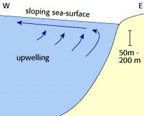 Physics plays a key role in controlling ocean