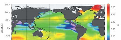 The biological carbon pump Ocean acidification due to increasing