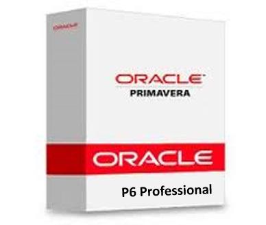 What You Will Learn This instructor-led course provides students with hands-on training for Primavera P6 Professional.