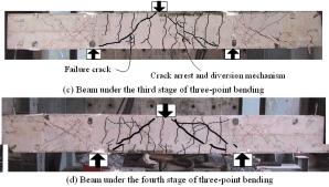 Crack pattern observed in each loading