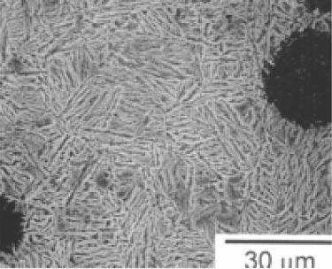 This specimen was further reduced in thickness to 3 mm through ion milling to allow the wear zone to be observed by TEM (The type is JEOL-JEM-3010).