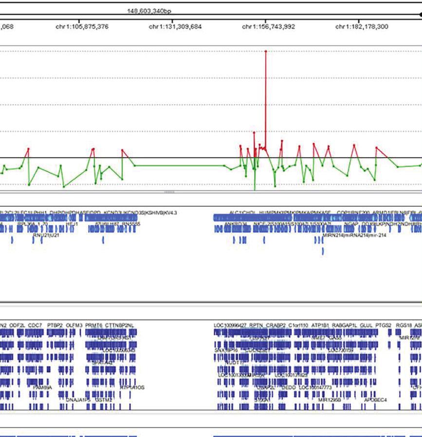 All the gene associated information can be viewed side-by-side in the Genome Browser, as shown in Figure 5.