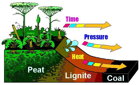 Carbon cycle in the lithosphere Inorganic: coal, oil, natural gas, oil shale, limestone Created from Created