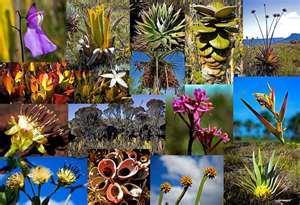 Biodiversity Why is biodiversity important?