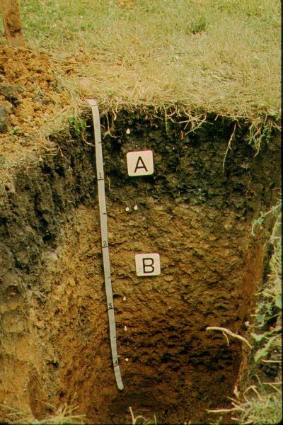 Consider also: Soils with the highest permeability (Table 2-2) are often considered most suitable for construction (and it is this characteristic that is typically reduced or eliminated by the