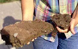 edu Compacted soil Photo credit: Center for Watershed Protection Table 2-1 Common Bulk Density Measurements Land Surface/Use Undisturbed Lands Forest & Woodlands