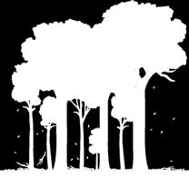 deforestation and degradation