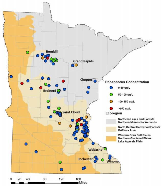 2013. The Condition of Minnesota s Groundwater,