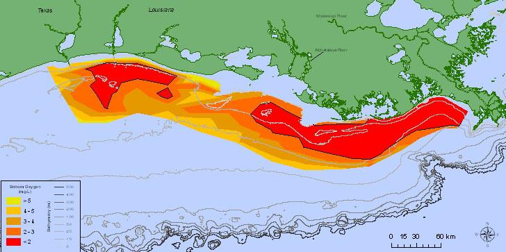 WATER QUALITY ISSUES National issue: Dead zone in the Gulf of Mexico 2014 Size: 5,052 square miles EPA.