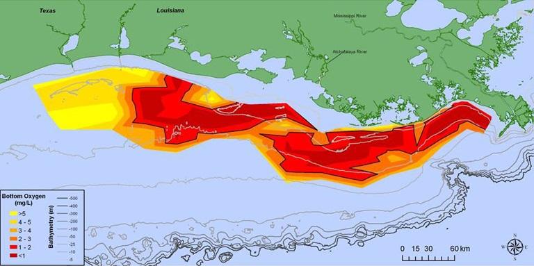 WATER QUALITY ISSUES National issue: Dead zone in the Gulf of Mexico 2015 Size: 6,474 square miles EPA.