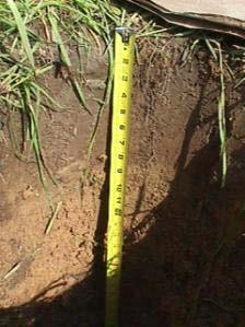 Soil Density (g/cm 3 ) all no-tilled
