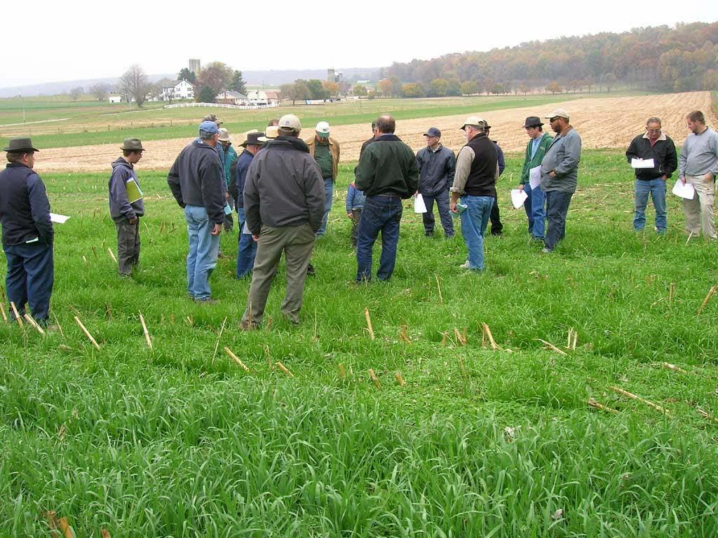 Cover crops are not idiot-proof!