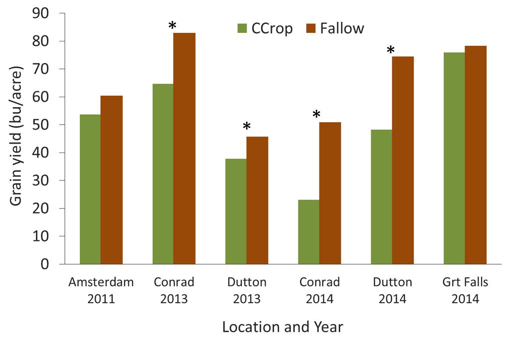 Cover Crop Cocktail Farm Study: 1 rotation of mixed CC reduced grain yield in 4 of 6 production years * Signif difference with 90%