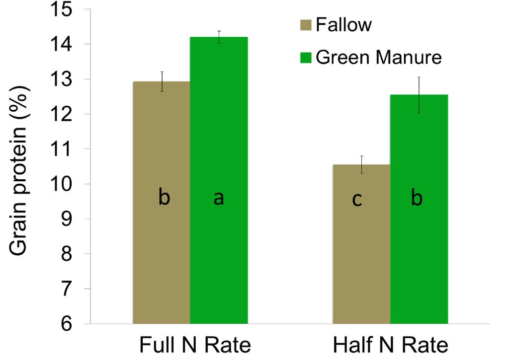 8 Year Plot Study: Grain protein in 8 th year Pea cover crop