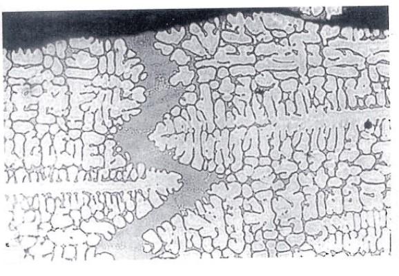 Campbell (2003) described that dendrites open a pathway for draining of eutectic liquid, which had successfully formed the tear in Al-10Cu alloys.