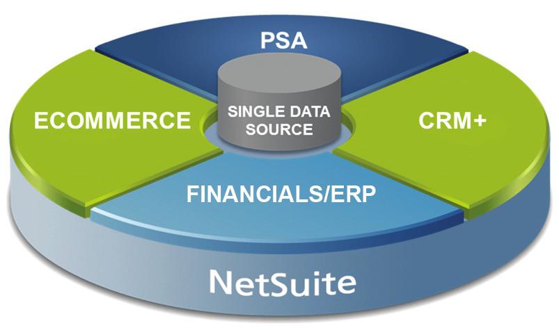NetSuite The World s #1 Cloud Business Management Suite Data Sheet NETSUITE BENEFITS Benefits experienced by organizations using NetSuite include 1 : Reduced IT costs by 50% or more Accelerated
