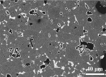 Representative images of their microstructures on polished surfaces are given in Figures 6, 7.