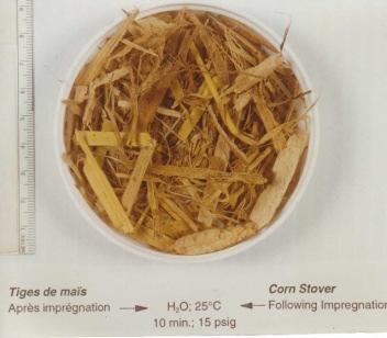 Biomass Extracts Cosmetics Ethanol