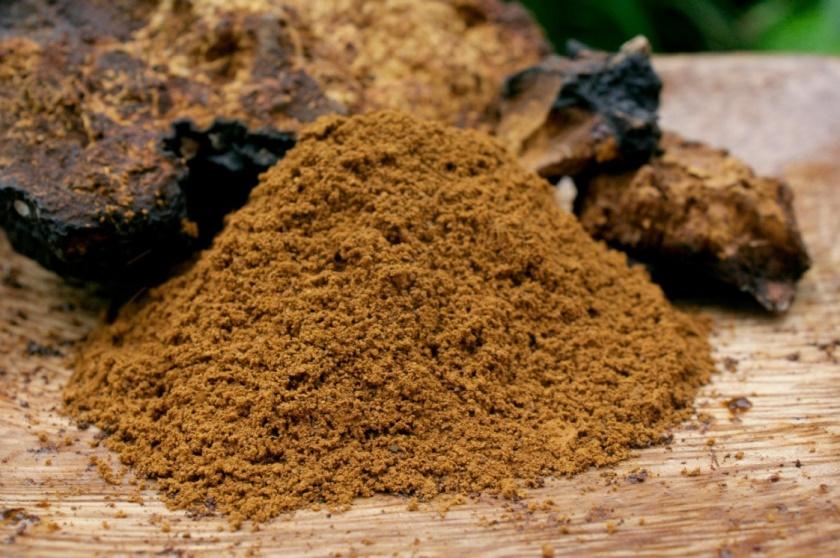 The active ingredients in Cordyceps are adenosine and cordycepic acid, and together with an abundance of phytonutrients, Cordyceps has been shown in studies to increase oxygen utilization, aerobic