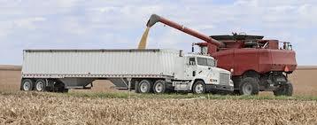 Australian Grain Supply