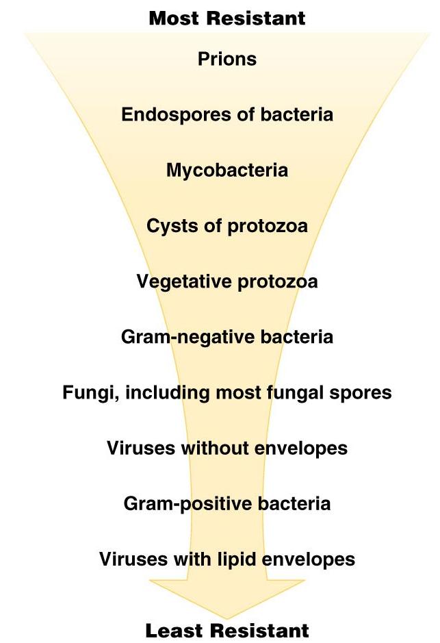 Microbial Characteristics and