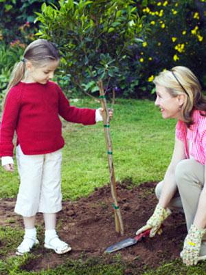 MAKE THE WORLD A GREENER PLACE Plant a tree (or a few!) in your yard as a family project.