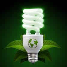 USE COMPACT FLUORESCENT LIGHT BULBS It is true that these bulbs are more expensive, but they last