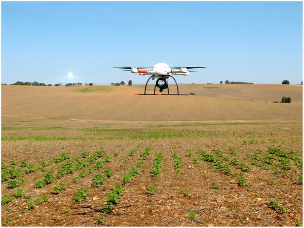 2025: PRECISION AGRICULTURE Configuration and Specifications of an Unmanned Aerial Vehicle (UAV) for Early Site Specific