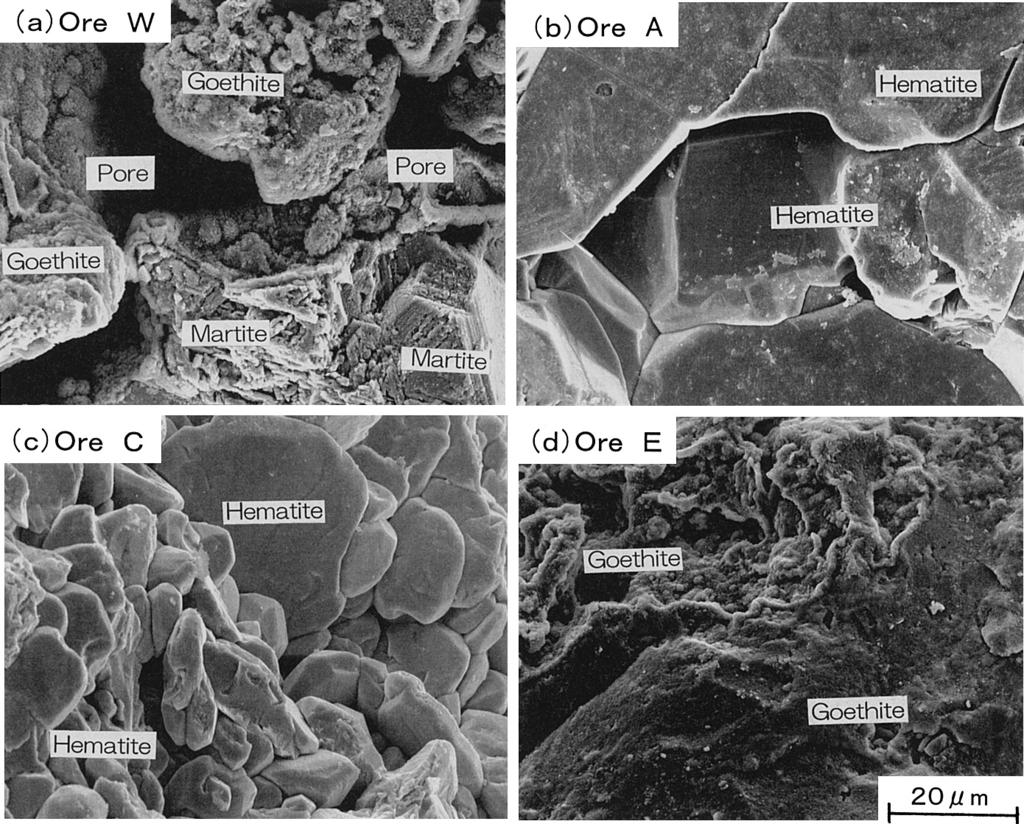 ISIJ International, Vol. 45 (2005), No. 4 Fig. 14. SEM images of ore surfaces. Fig. 15. Microstructures of sinter using Ore W after assimilation test.
