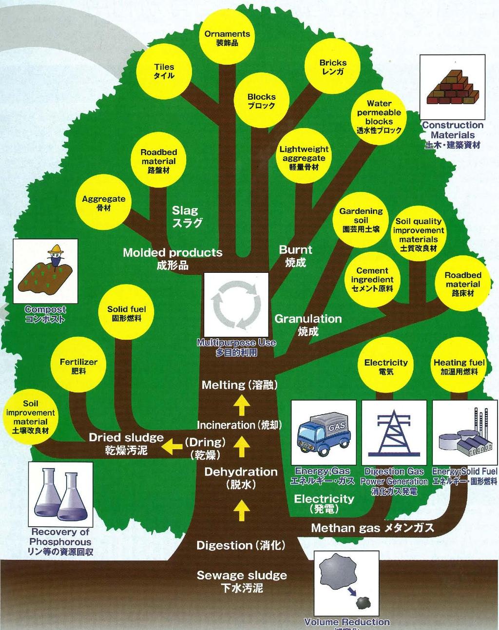 Tree Chart of