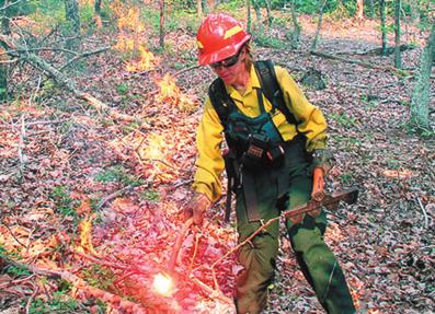 A fare attached to a container of geed fue is the most frequenty used method of igniting on-water burns. Using a drip torch to ignite a prescribed burn.
