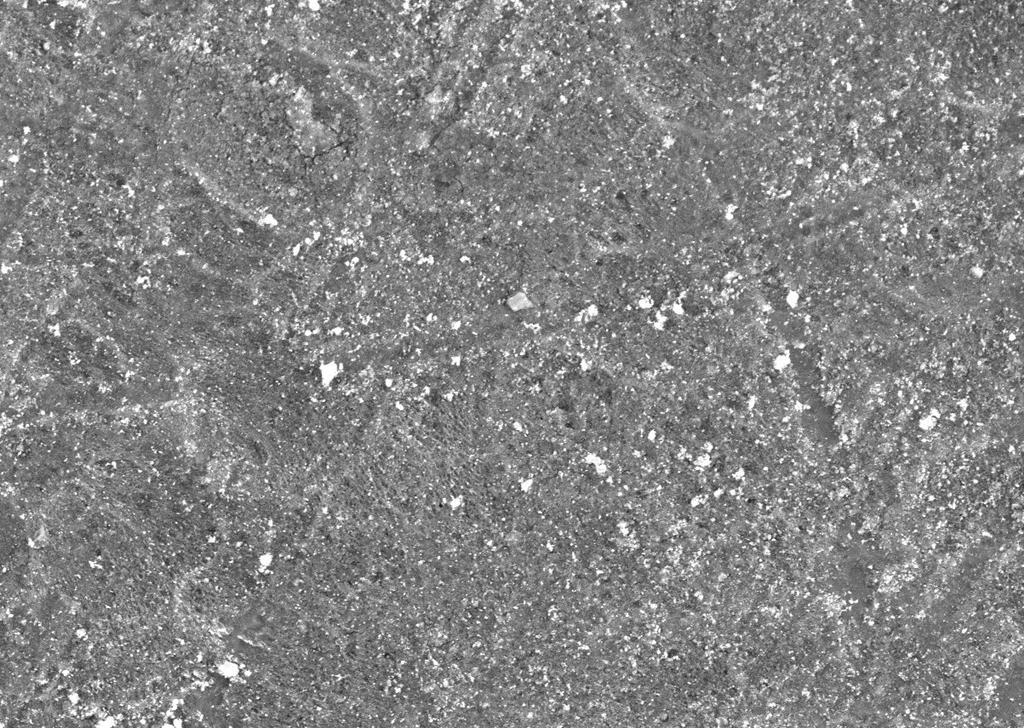 In the presence of SAL extract, almost 66 % of protected aluminium surface are seen. Fig. 9(a) SEM Photograph of aluminium immersed in 1N NaOH solution (Blank) Fig.