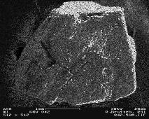 PSI s catalytic hydrothermal SNG process Flue gas Algae slurry Preheat er (Heat recover y) High pressure slurry pump Salt separator superheat er Salt brine Cooler