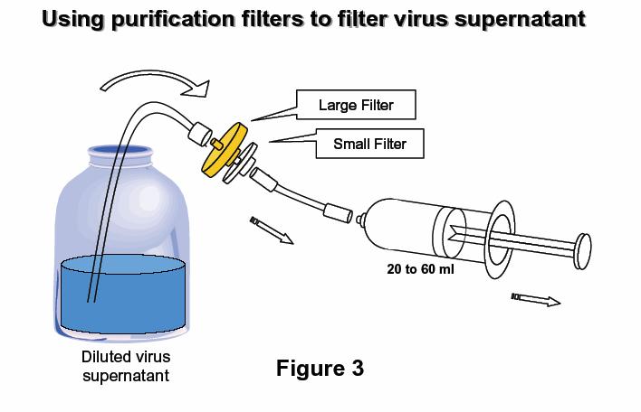 Attach the Large/Small purification filter assembly to the tubing and syringe.