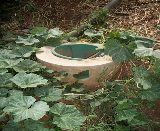 In Uganda, the fixed dome and floating drums were the most preferred types of biogas digesters due to their longer life spans when compared to the plastic tubular design (Walekhwa et al., 2009).