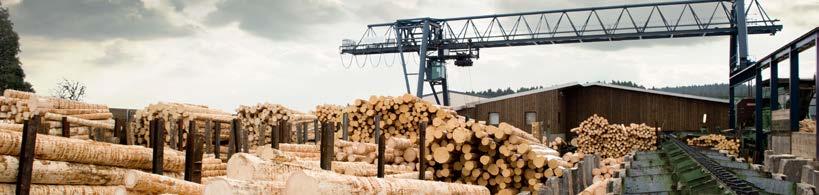 EXECUTIVE SUMMARY With a sustainable forest resource, a healthy and diverse forest products manufacturing industry and efficient transportation infrastructure, forestry exports make a significant