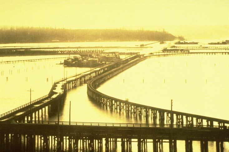 Figure 5: Westerly perspective -- Spokane Street corridor in 1898 This figure illustrates the extent of intertidal area in south Elliott
